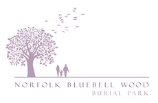 bluebell-wood-small