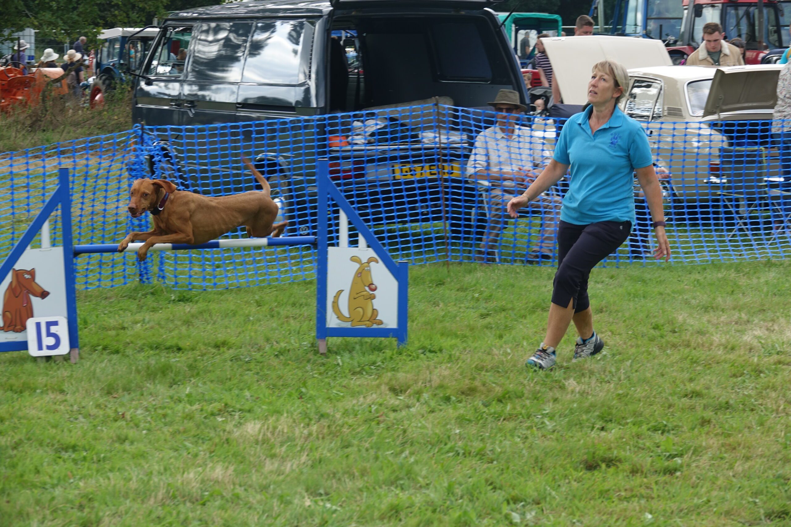 Dog agility