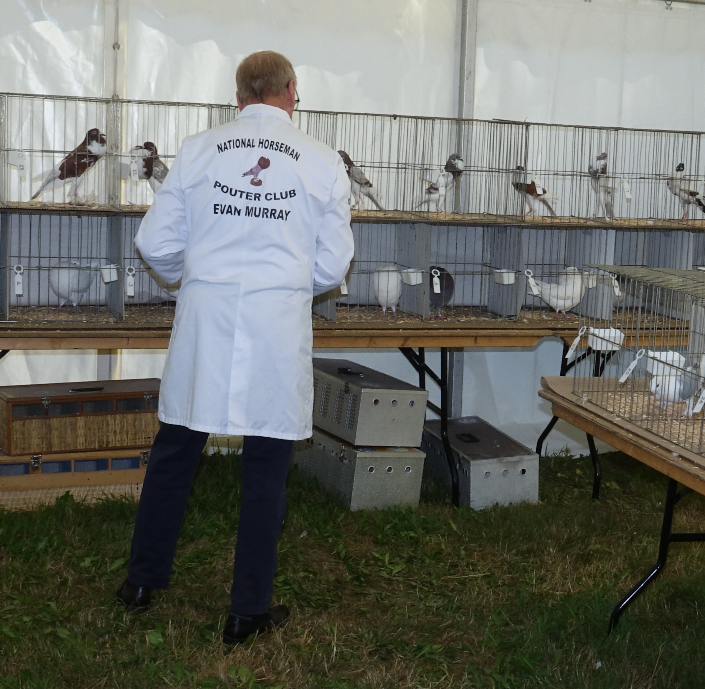 Kings Lynn & District Fur & Feather society