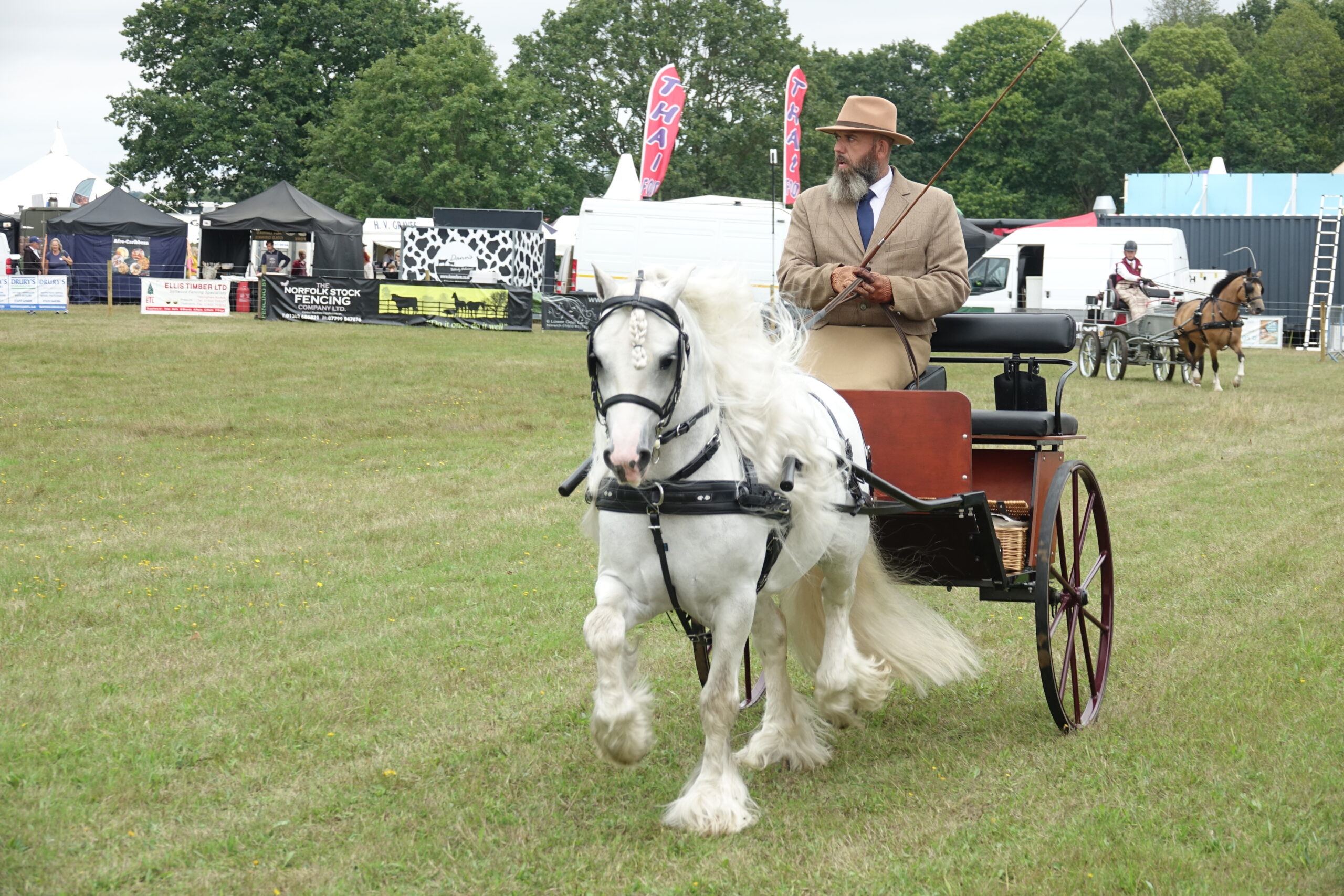 Heavy Horses Display