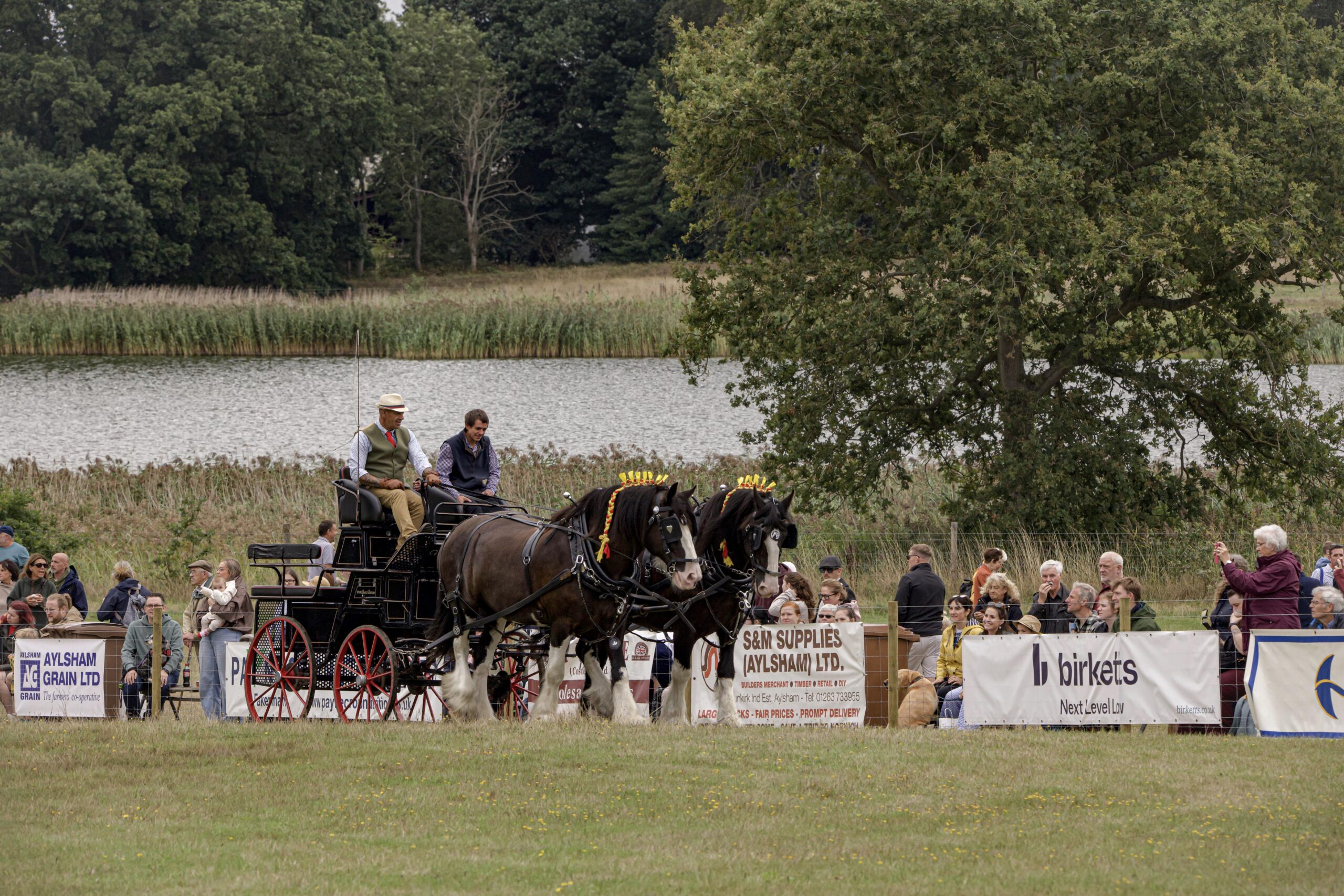 Heavy Horses Display
